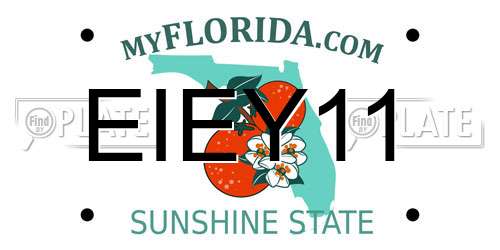 EIEY11 Florida License Plate