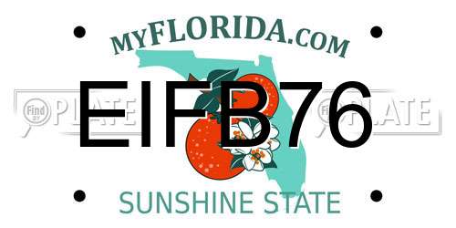 EIFB76 Florida License Plate