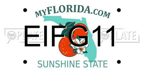 EIFG11 Florida License Plate