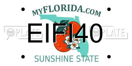 EIFI40 Florida License Plate