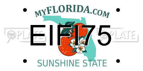 EIFI75 Florida License Plate