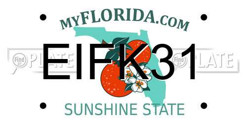 EIFK31 Florida License Plate