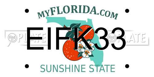 EIFK33 Florida License Plate
