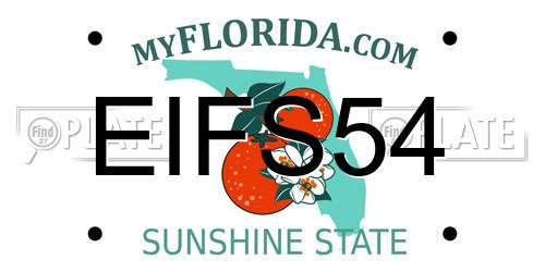 EIFS54 Florida License Plate