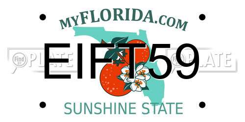 EIFT59 Florida License Plate