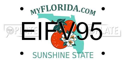 EIFV95 Florida License Plate