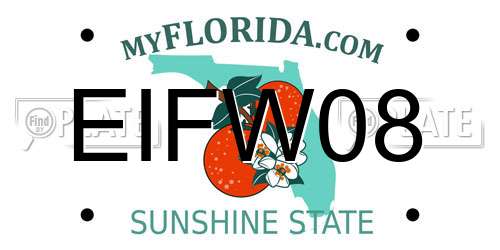 EIFW08 Florida License Plate