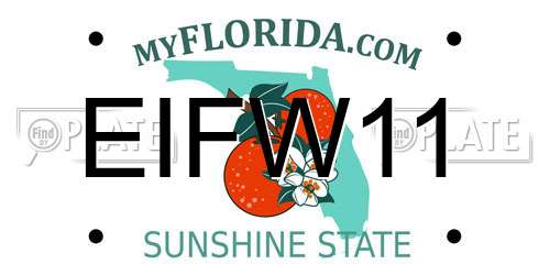 EIFW11 Florida License Plate