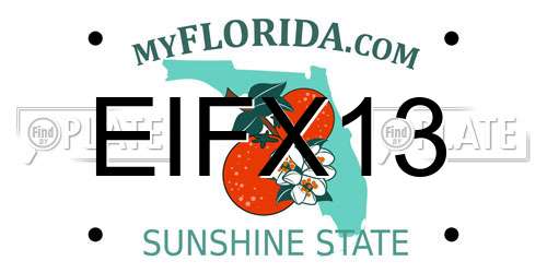 EIFX13 Florida License Plate