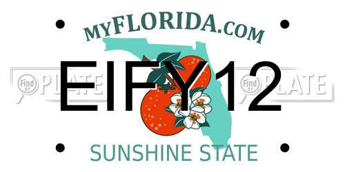 EIFY12 Florida License Plate