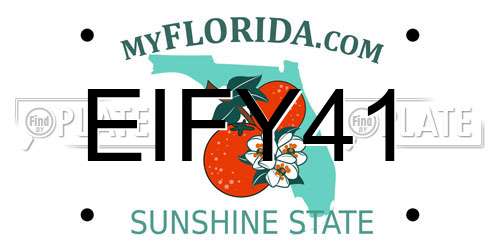 EIFY41 Florida License Plate