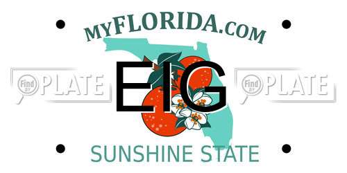 EIG Florida License Plate