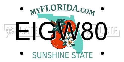 EIGW80 Florida License Plate