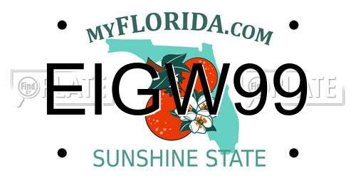 EIGW99 Florida License Plate