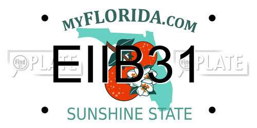 EIIB31 Florida License Plate