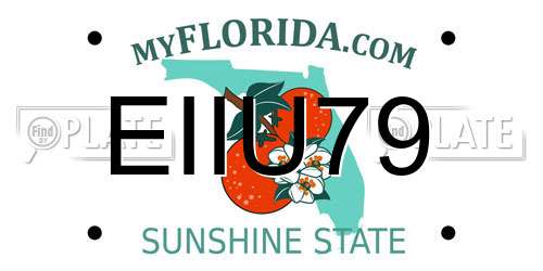 EIIU79 Florida License Plate