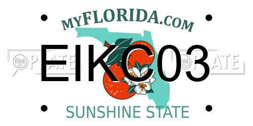 EIKC03 Florida License Plate