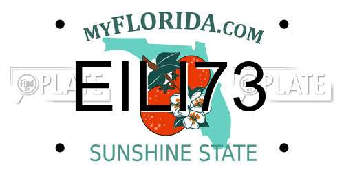EILI73 Florida License Plate