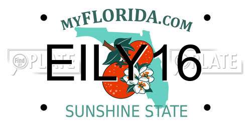EILY16 Florida License Plate