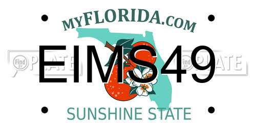 EIMS49 Florida License Plate