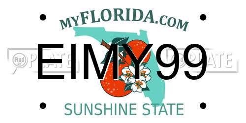 EIMY99 Florida License Plate