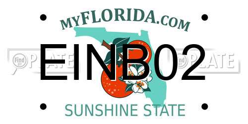 EINB02 Florida License Plate