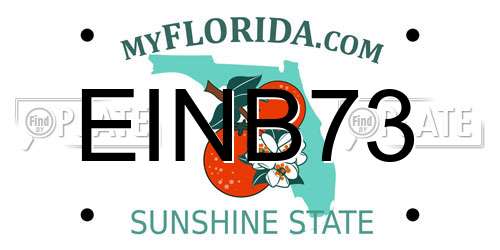 EINB73 Florida License Plate