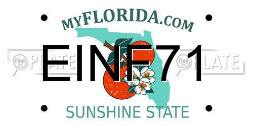 EINF71 Florida License Plate