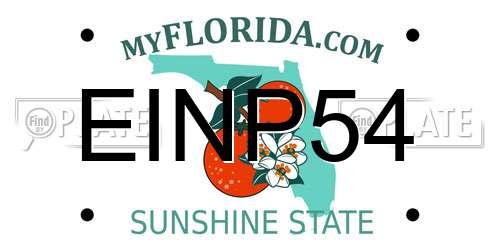 EINP54 Florida License Plate