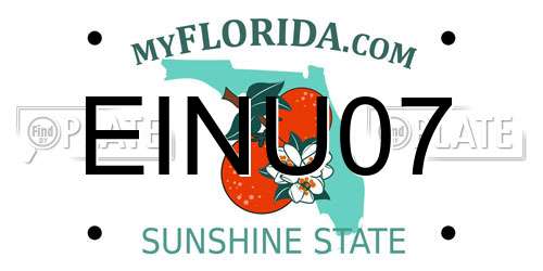EINU07 Florida License Plate
