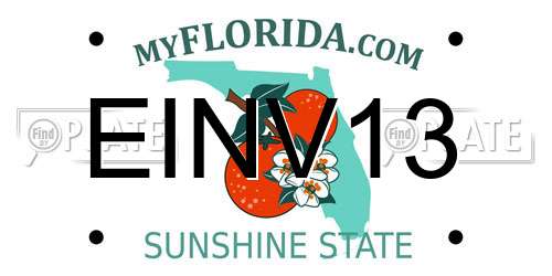 EINV13 Florida License Plate