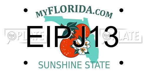 EIPJ13 Florida License Plate