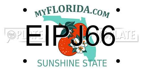 EIPJ66 Florida License Plate