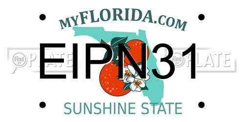 EIPN31 Florida License Plate