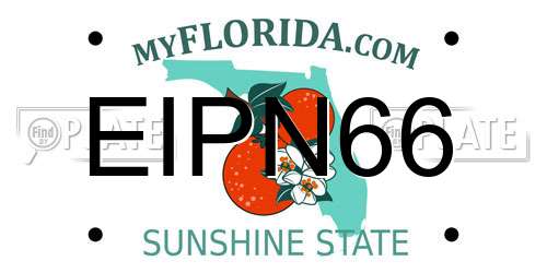EIPN66 Florida License Plate