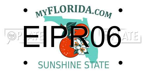 EIPR06 Florida License Plate