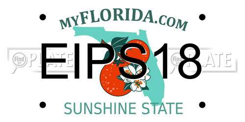 EIPS18 Florida License Plate
