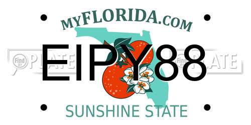 EIPY88 Florida License Plate
