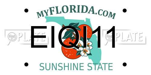 EIQI11 Florida License Plate