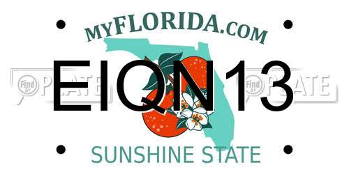 EIQN13 Florida License Plate