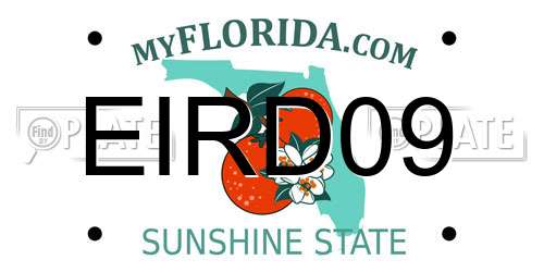 EIRD09 Florida License Plate