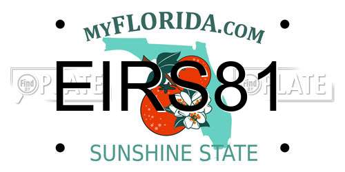 EIRS81 Florida License Plate