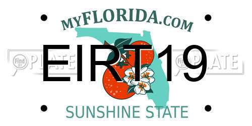 EIRT19 Florida License Plate