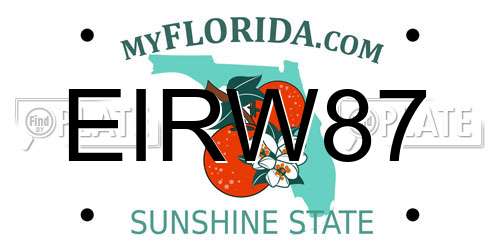 EIRW87 Florida License Plate