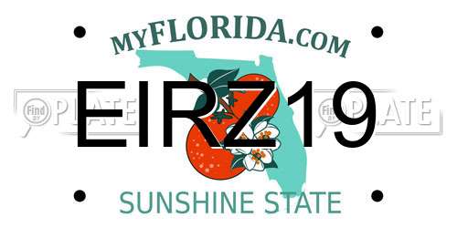 EIRZ19 Florida License Plate