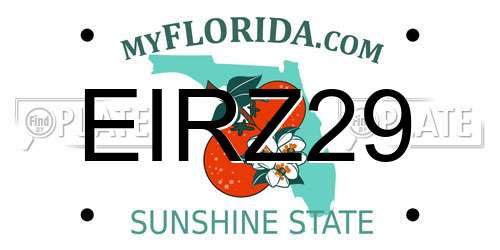 EIRZ29 Florida License Plate