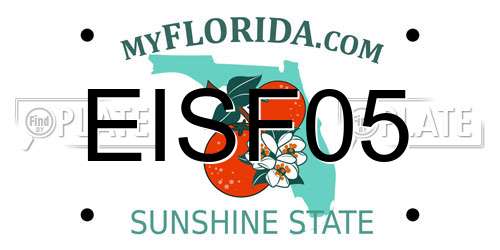 EISF05 Florida License Plate
