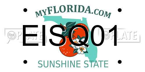 EISQ01 Florida License Plate