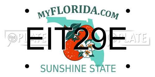 EIT29E Florida License Plate