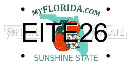 EITE26 Florida License Plate